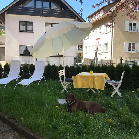 Ferienwohnung Wandergluck - A77372 * Bad Peterstal-Griesbach