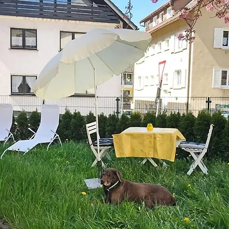 Ferienwohnung Wandergluck - A77372 Apartament *